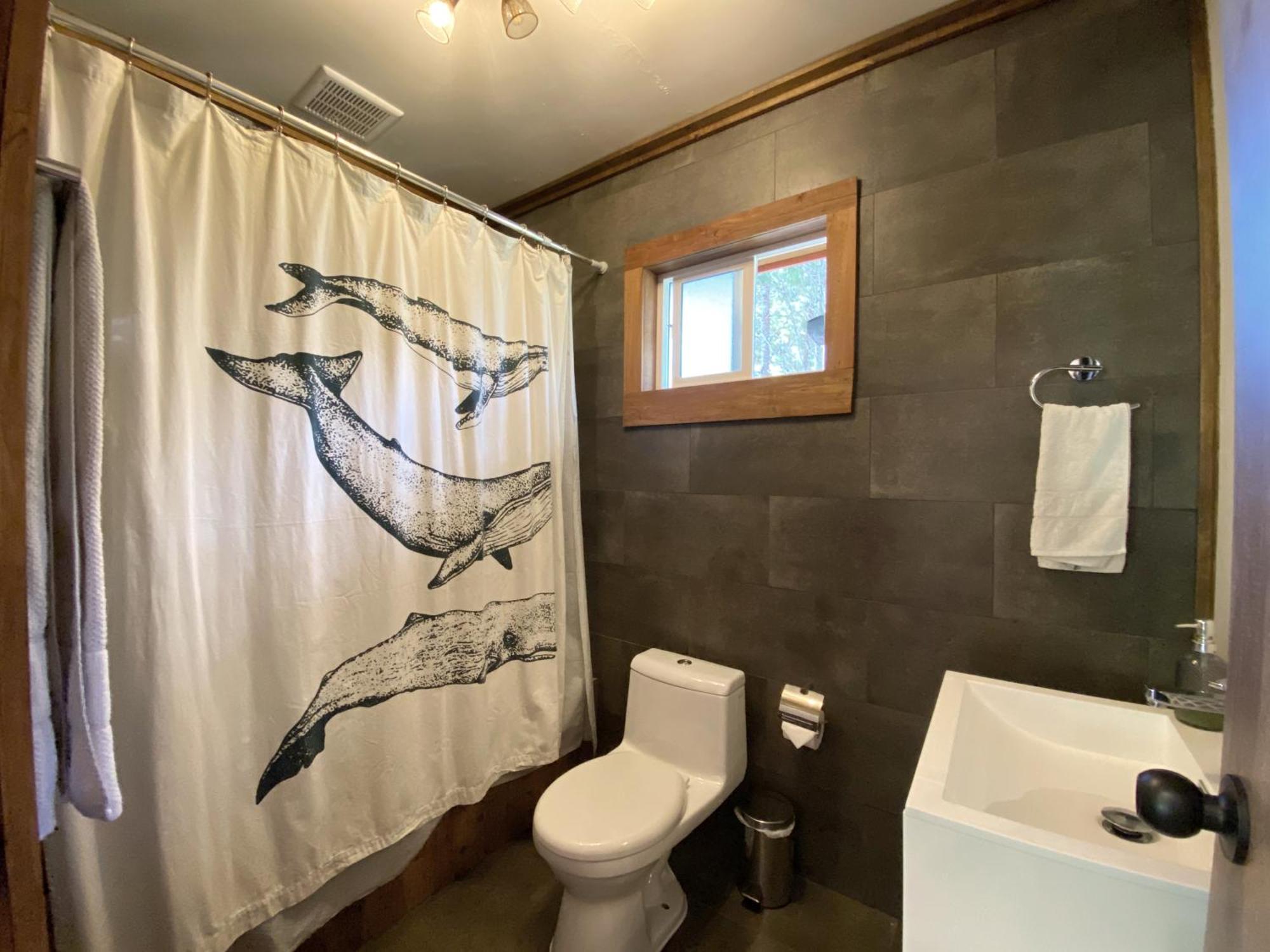 Carpinterito Cabana, Ensenada Campestre 푸에르토바라스 외부 사진